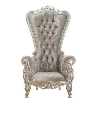 Crushed grey Velvet and Silver Throne chair carved handmade