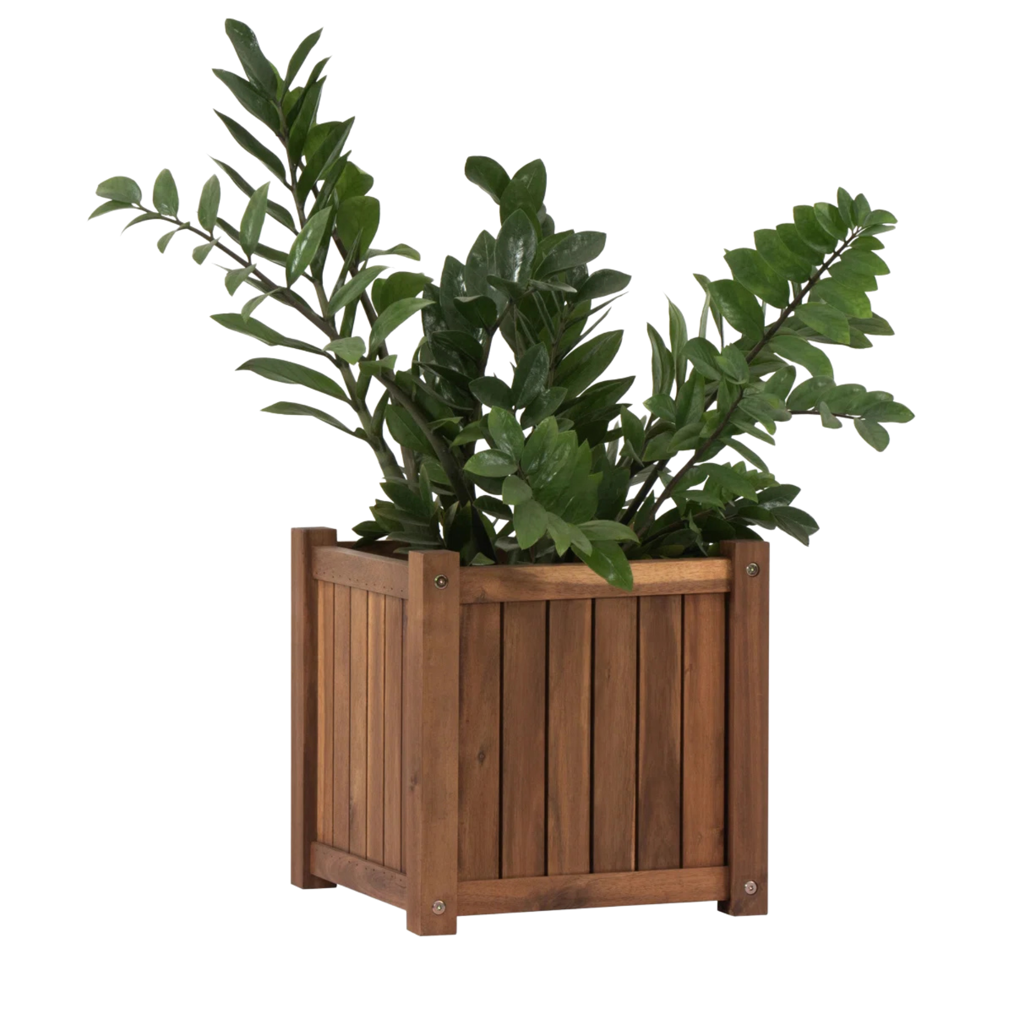 Outdoor Solid Wood Square Planter Box for Garden CV Aqma Furniture Outdoor Solid Wood Square Planter Box for Garden CV Aqma Furniture